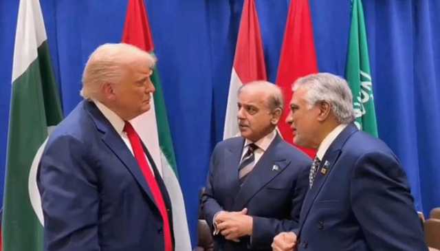 امریکی صدر ٹرمپ کے شکر گزار ہیں، فلسطین میں جنگ بندی کے قریب ہیں: شہباز شریف