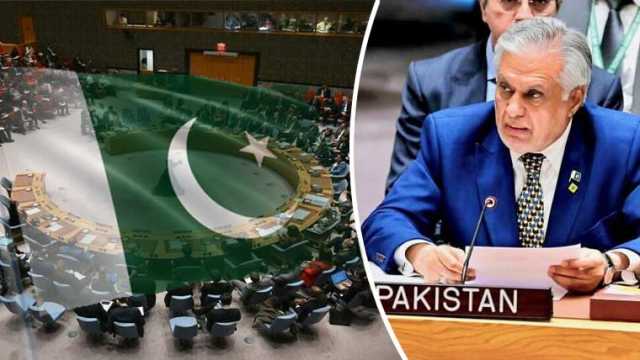 پاکستان 2026 تا 2028 اقوام متحدہ کی انسانی حقوق کونسل کا رکن منتخب