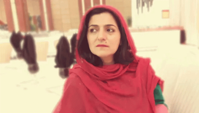 سینیٹر فلک ناز کے ساتھ مالی فراڈ کرنے والے ملزمان گرفتار