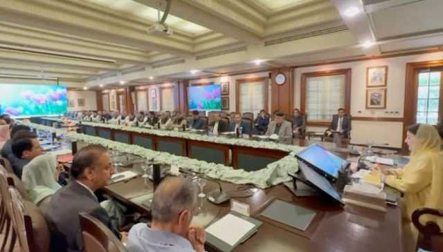 مریم نواز سے ساہیوال ڈویژن کے ارکان اسمبلی اور پارٹی ٹکٹ ہولڈرز کی ملاقات