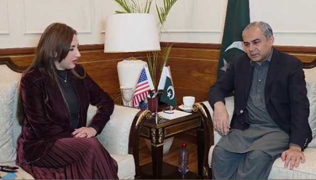 وزیر داخلہ محسن نقوی سے امریکی سفیر نیٹلی بیکر کی ملاقات، اسلام آباد دھماکے کی مذمت