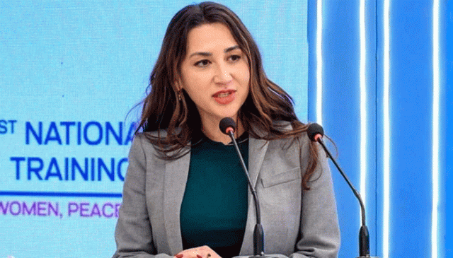 پاکستان ایک آزاد ملک، قرضوں میں نہیں پھنسنا چاہیے: امریکی ناظم الامور