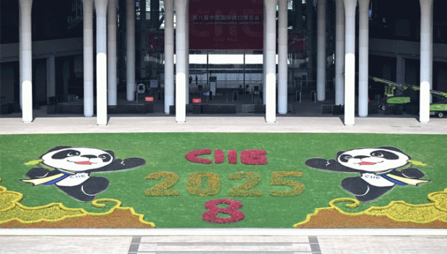 چائنا انٹرنیشنل امپورٹ ایکسپو سے باہمی تعاون سے جامع عالمی ترقی کا فروغ