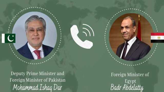 اسحاق ڈار سے مصری وزیر خارجہ کا رابطہ، پاکستان میں دہشتگردی پر اظہار افسوس
