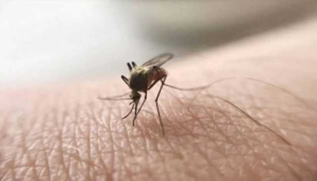 عالمی ادارہ صحت کی رپورٹ، پاکستان میں ملیریا کیسز کی صورتحال تشویشناک، ایک سال میں 31لاکھ 55ہزار مریض رپورٹ