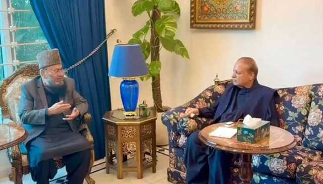 صدر ن لیگ نواز شریف سے سینیٹر حافظ عبدالکریم کی ملاقات، سیاسی صورتحال پر گفتگو