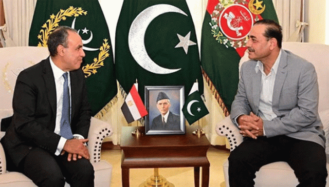 فیلڈ مارشل عاصم منیر سے مصری وزیر خارجہ کی ملاقات، دفاعی تعاون بڑھانے کا عزم