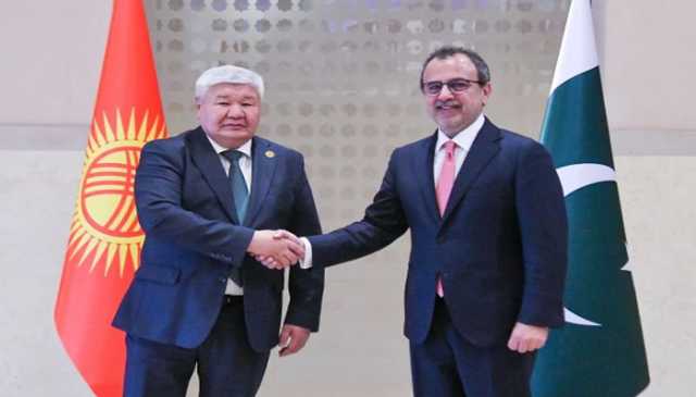 حکومت کی ترک کمپنیوں کو ملک کے تین بجلی گھر خریدنے کی پیشکش