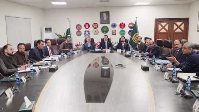 جعلی ویزوں کے دھندے میں ملوث مافیا کے خلاف موثر کریک ڈاؤن کا حکم