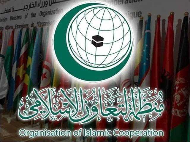 او آئی سی کا اسرائیلی جارحیت پر سخت ردعمل، سندھ طاس معاہدے کی پاسداری پر زور