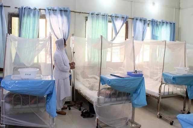 وزارت صحت کا ڈینگی کے خاتمے کیلئے متعلقہ حکام کو مراسلہ جاری