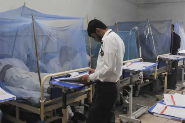 راولپنڈی میں ڈینگی کیسز کی مجموعی تعداد 34 ہو گئی
