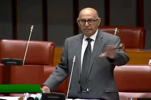 بھارت دہشتگردوں کو وسائل اور تربیت دے رہا ہے، سینیٹر عرفان صدیقی