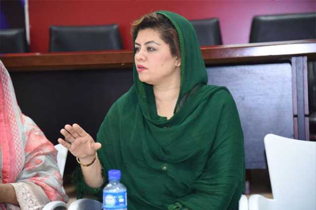 پی ٹی آئی رہنما کنول شوزب نے امریکہ جانے کی اجازت کے لیے عدالت سے رجوع کر لیا