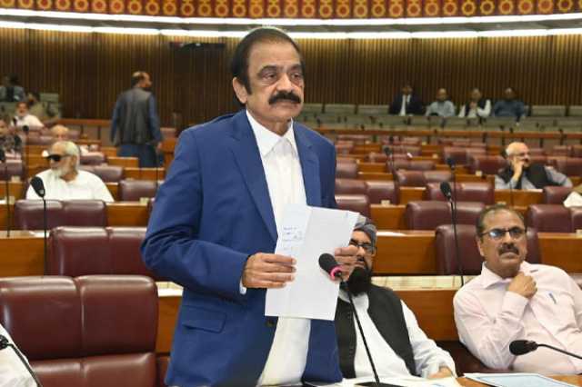 بھارت مقبوضہ کشمیر میں مظالم ڈھا رہا، بہن بھائیوں کی حمایت جاری رکھیں گے: رانا ثنا