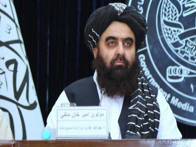 سفری پابندی ختم؛ طالبان وزیر خارجہ آئندہ ہفتے بھارت کے دورے پر جائیں گے
