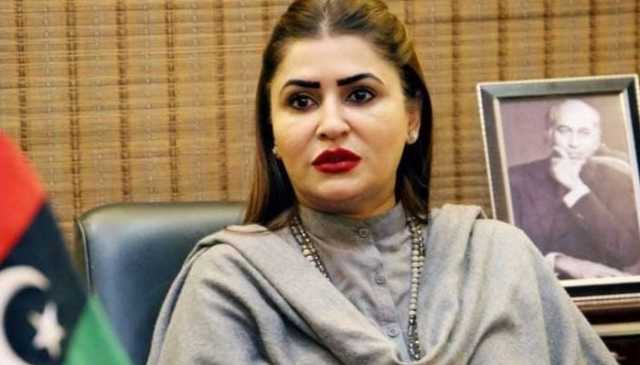 پیپلز پارٹی نے وفاقی حکومت کی متبادل انرجی کی نئی پالیسی مسترد کر دی