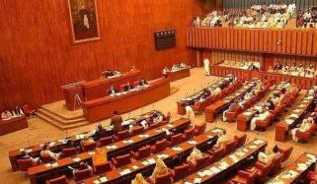 بہاولپور: مقامی افراد نے نایاب نسل کا بھارتی سرمئی بھیڑیا مار ڈالا