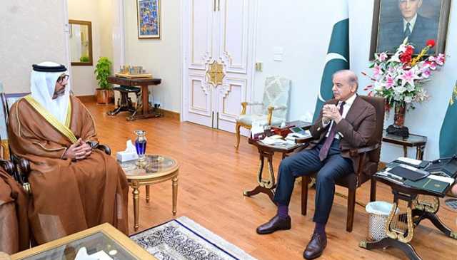 وزیراعظم نے پہلگام واقعے سے متعلق بھارت کے بے بنیاد الزامات کو مسترد کردیا