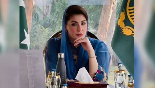 بھارت کا غرور، جھوٹا پروپیگنڈا آج فضاؤں میں جل کر راکھ ہوچکا: وزیراعلیٰ پنجاب