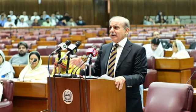 پاک فضائیہ کے عقاب جھپٹے اور آناً فاناً 3 رافیل طیاروں سمیت 5 بھارتی طیاروں کو مار گرایا، وزیراعظم شہباز شریف