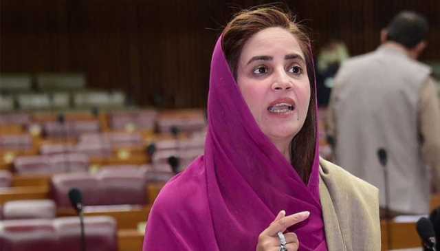 حکومت اے پی سی اور بانی پی ٹی آئی کو بلائے، زرتاج گل