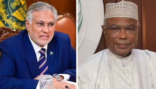 بھارتی حملے: اسحاق ڈار کا سیکریٹری جنرل او آئی سی سے رابطہ