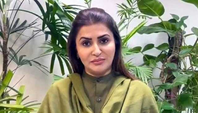 بھارت نے پاکستان کے بارے میں غلط اندازہ لگایا: شازیہ مری