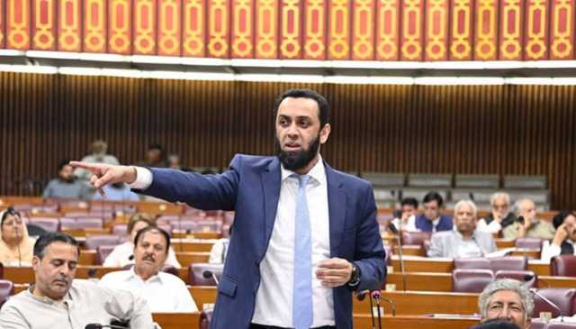 پاکستان نے ایل او سی پر 40 سے 50 بھارتی فوجی ہلاک کیے، عطا تارڑ