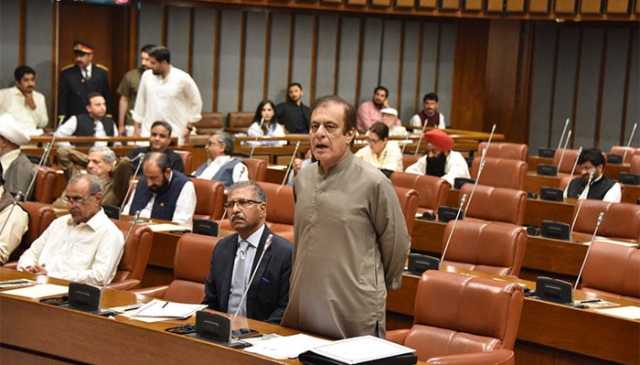 ہماری ایئر فورس نے ثابت کیا مہنگا جہاز لینے سے دفاعی صلاحیت بہتر نہیں ہوتی، شبلی فراز