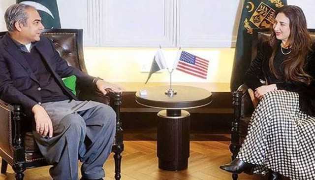 دو ایٹمی طاقتوں کے درمیان سیز فائر کا کریڈٹ ٹرمپ کو جاتا ہے، محسن نقوی