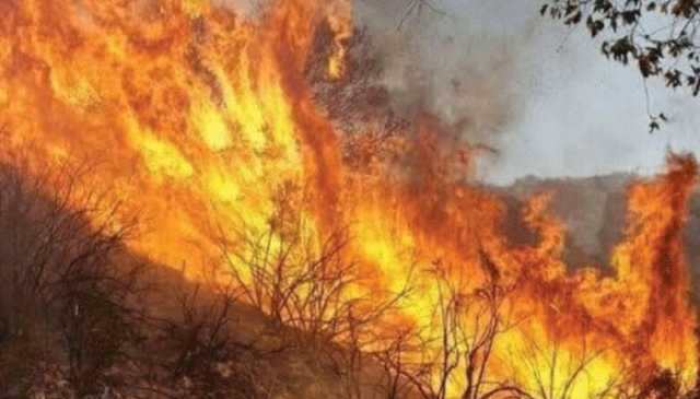مالاکنڈ: پہاڑی سلسلے میں لگی آگ 8 دن بعد بھی بےقابو