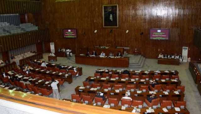 سینیٹ فنکشنل کمیٹی اجلاس: چیئرمین پی ٹی اے کا ایمل ولی پر چرس پینے کا الزام