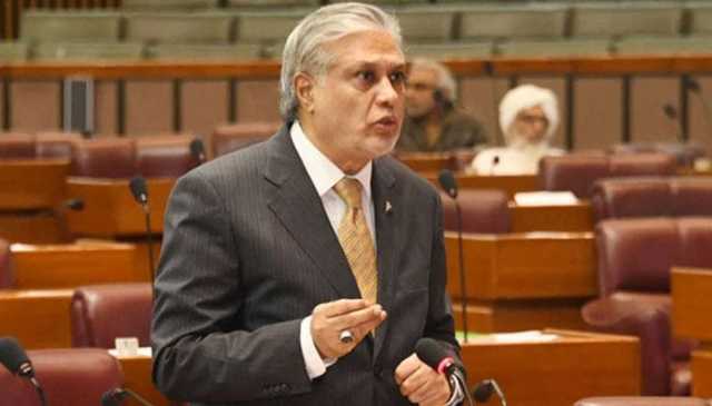 بھارتی پراکسیز کو باز آجانا چاہیے، بھارت کو جو جواب ملا اس سے سبق سیکھنا چاہیے: اسحاق ڈار