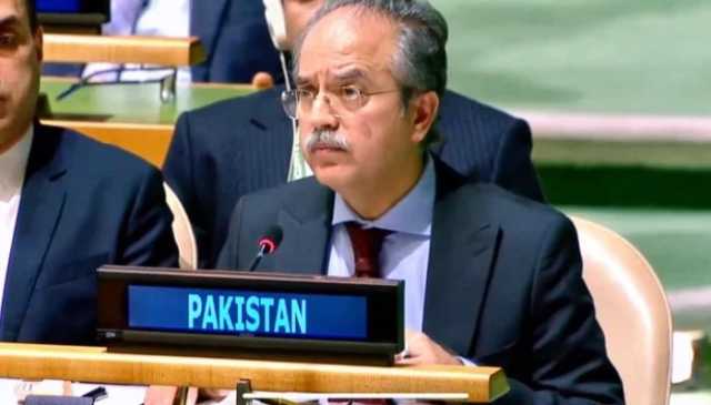 مقبوضہ کشمیر کے عوام بھارتی جبر کا شکار ہیں، عاصم افتخار