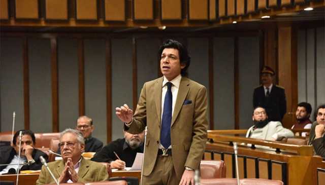 علی امین کہتے ہیں آئی ایم ایف سے بات نہیں کرینگے، کیا ان کو پاکستان کی تقدیر سے کھیلنے دینگے، فیصل واوڈا