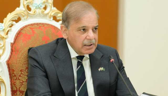 پاکستان امن چاہتا ہے، عالمی برادری بھارت کا محاسبہ کرے: وزیرِ اعظم شہباز شریف