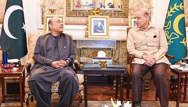 صدرِ مملکت آصف زرداری سے وزیرِ اعظم شہباز شریف کی ملاقات