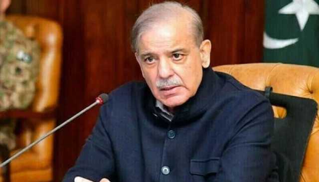 دیامر بھاشا ڈیم کی جلد از جلد تکمیل کی ہدایت