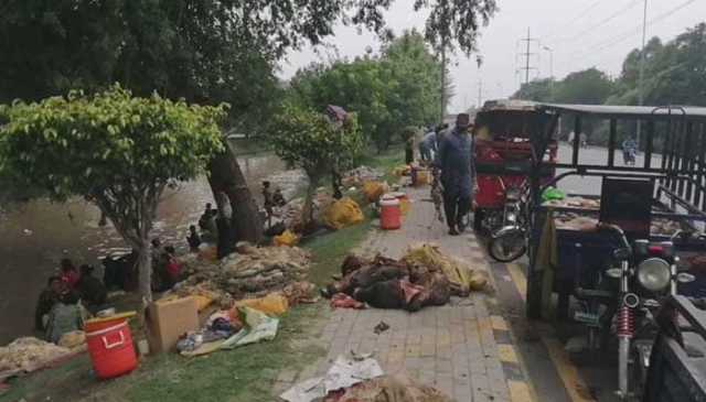 پنجاب: دفعہ 144 کے تحت مختلف پابندیاں عائد
