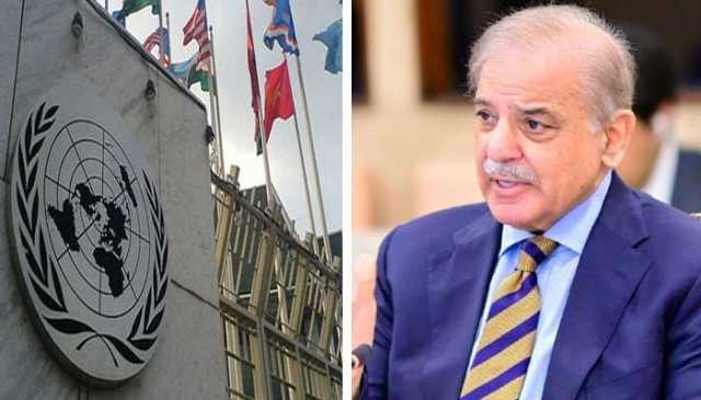 یو این کی کمیٹیوں اور گروپ کی ذمے داری پاکستان کو سونپ دی گئی: وزیرِ اعظم شہباز شریف