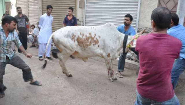 میٹ مرچنٹس کیجانب سے بقر عید پر جانور کٹائی کی ریٹ لسٹ جاری