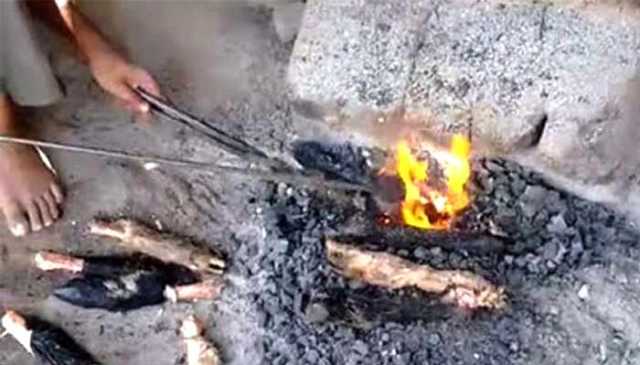 اسلام آباد میں جانوروں کے سری، پائے جلانے پر 7 دن کیلئے پابندی