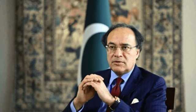 ریکوڈک منصوبے سے 75 ارب ڈالرز حاصل ہوں گے، بجٹ تقریر