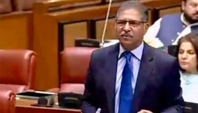 پی ٹی آئی اراکین اس بجٹ کو ووٹ نہیں دیں گے، یہ تباہی کا سبب بنے گا، سینیٹر علی ظفر