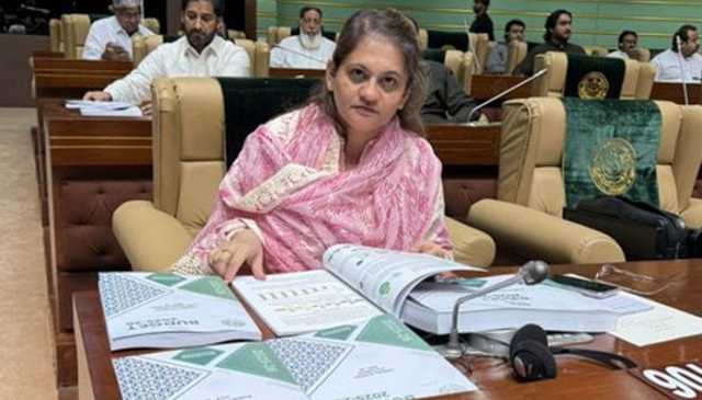 کنٹونمنٹ، ریلویز، کے پی ٹی ادارے میئر کراچی کے کنٹرول میں ہونے چاہئیں: سعدیہ جاوید