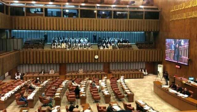 فوجداری قوانین میں ترمیم کا بل، خاتون کو سرعام برہنہ کرنے اور ہائی جیکر کو پناہ دینے پر سزائے موت ختم کرنیکی تجویز