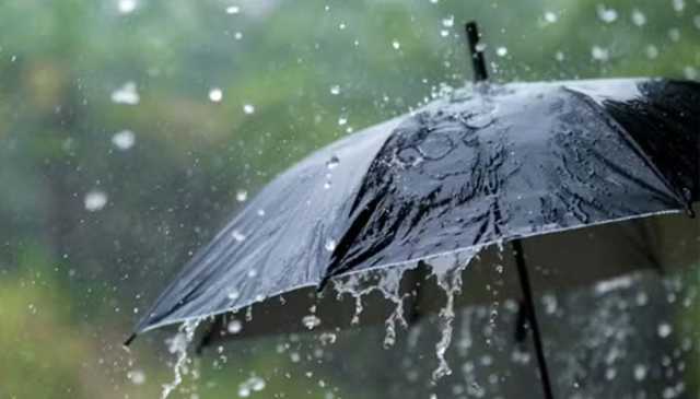 آج شام سے پنجاب میں پری مون سون کا آغاز ہوگا: پی ڈی ایم اے
