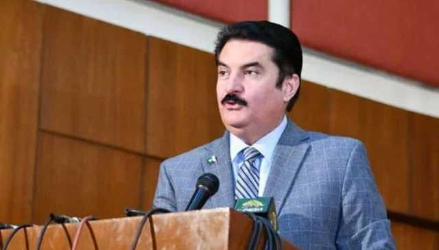 علی امین کیلئے صوبائی حکومت سونے کا انڈا دینے والی مرغی ہے، گورنر فیصل کریم کنڈی