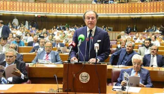 قومی اسمبلی میں بجٹ کی شق وار منظوری کا عمل جاری